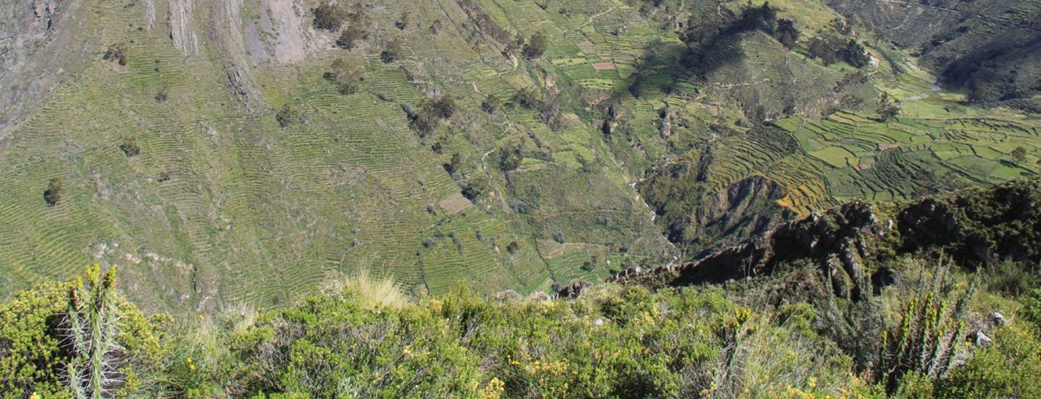 Terrassen in Laraos (Peru)  © Erika Harzer